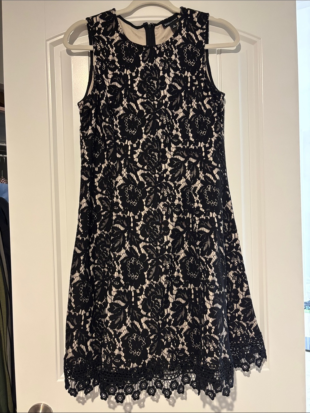 Roz & Ali Black Lace Overlay Mini Dress with Cream Lining